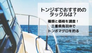 トンジギでおすすめのタックルは?種類と価格を調査!三重県鳥羽沖でトンボマグロを釣る