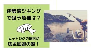 伊勢湾ジギングで狙う魚種は?シーズンごとに変わるヒットジグの選択が坊主回避の鍵!
