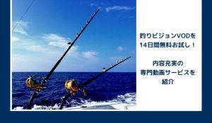 釣りビジョンVOD動画14日間無料視聴する方法!見逃し配信も!釣り専門サービス