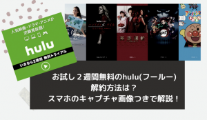 お試し2週間無料のhulu(フールー)解約方法は?スマホのキャプチャ画像つきで解説!