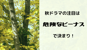 ドラマ化の危険なビーナスはいつ放送開始?あらすじと主なキャストについてや見逃し配信について