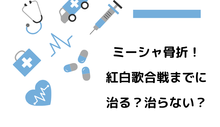 Misiaミーシャさん骨折 年末の紅白歌合戦出場はあるorない を考察してみました 鍼灸師やまだのブログ