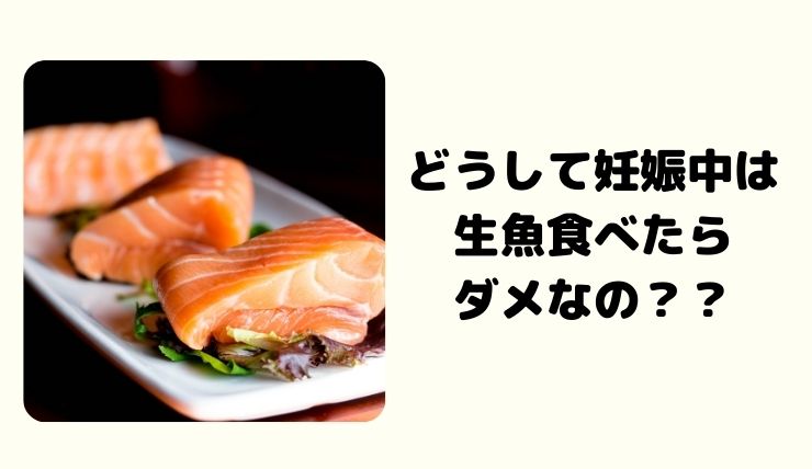 妊娠中はどうしてお刺身を食べてはいけないの 妊婦さんが生魚を食べた時に起こるかもしれないリスクについて 鍼灸師やまだのブログ