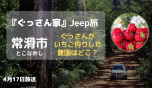 ぐっさん家 常滑市のいちご狩りしていた農園はどこ?4月17日放送フルーツループの場所や11種類のトッピ...