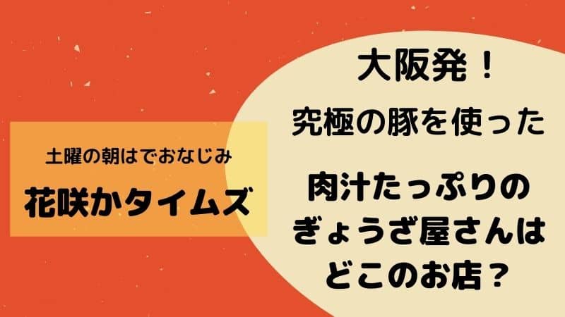 花咲かタイムズで紹介 幻の豚を使った肉汁餃子は大阪発のどこのお店 にんにく不使用の芳醇豚を使った餃子の北新地ぎょうざ家について 鍼灸師やまだのブログ